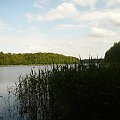 Jezioro otoczone zielenią