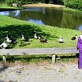 Podziwianie kaczuszek