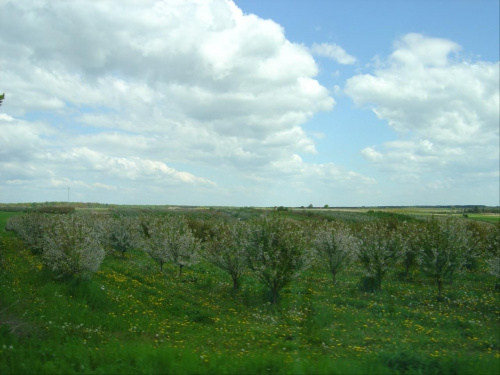 Baranów Sandomierski #BaranówSandomierski #Polska #Polen #Zamek #Park #renesans