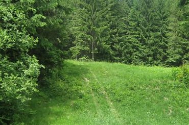 Wisla ;) #widok #wisla #KrajobrazGórski #wakacje