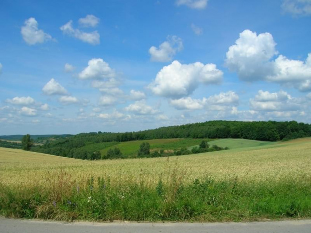 6.07.08 m.in Lelów - Szczekociny