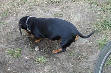 rower power! #rower #piknik #PraskiPiknikRowerowy #Praga #Gocław #Warszawa