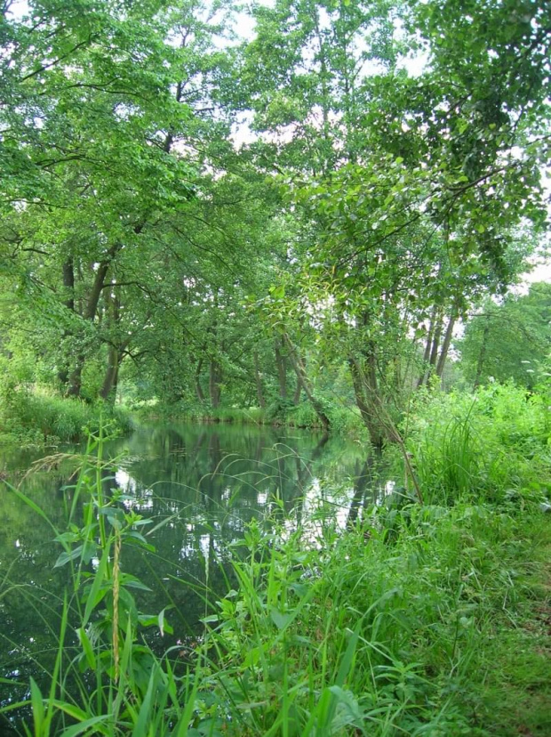 6.07.08 m.in Lelów - Szczekociny