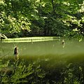 Jeziorka Duszatyńskie