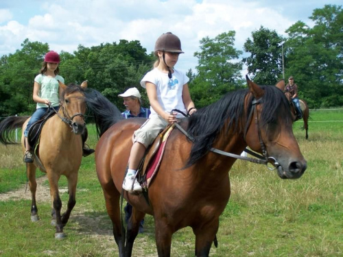 Zarogów 22.07.2008