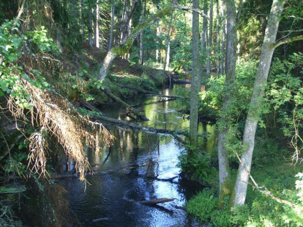 Brda, rezerwat "Przytoń"