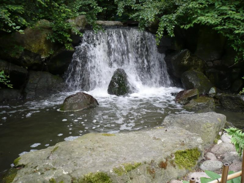 Wodospad w Parku Japońskim.