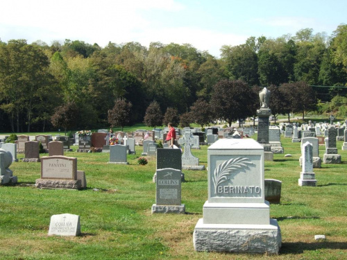 Ogólny widok cmentarza