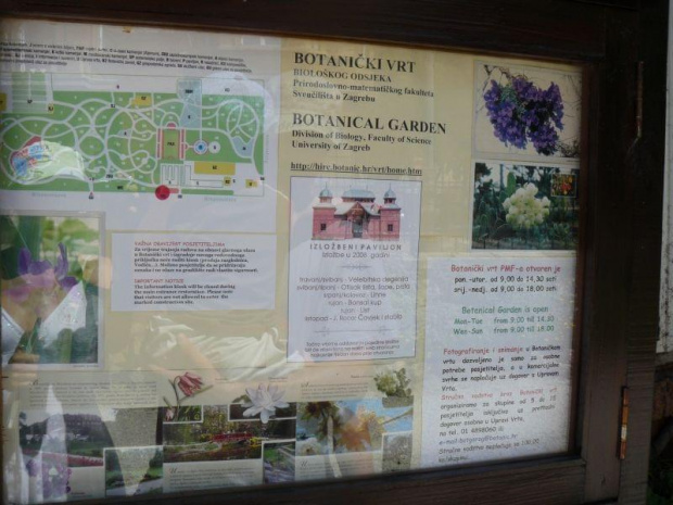 w ogrodzie botanicznym w Zagrzebiu Chorwacja 2008 rok. #OgródBotaniczny #Zagrzeb #Chorwacja #przyroda #fauna #flora