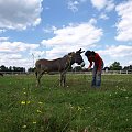 Przystań Ocalenie 2008