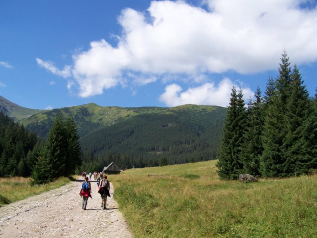 #tatry #DolinaChochołowska