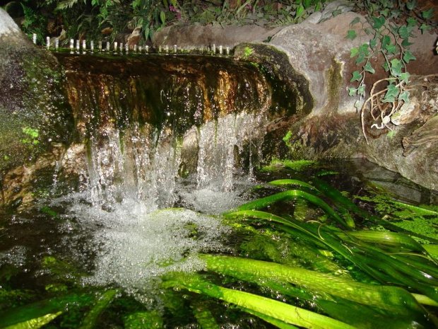 uroki wody:) #kaskada #roślinki #woda #kropelki