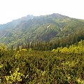 W drodze nad Morskie Oko