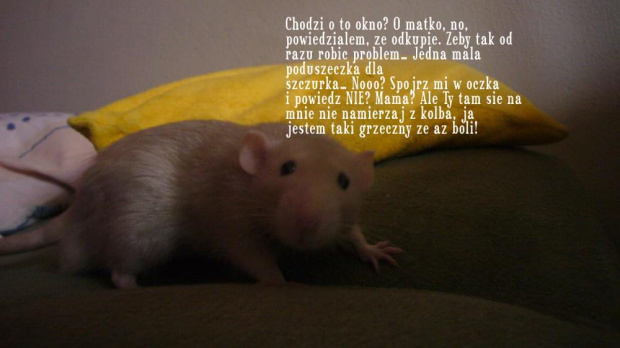 I na koniec...