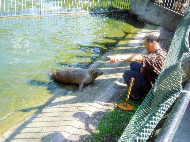 Ochotek nie ma ochoty na aportowanie