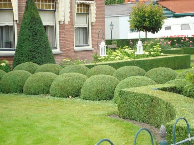 zbliżenie - ogród z poprzedniej fotki