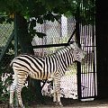 Nasze wszystkie dzieci i wnuki w łódzkim zoo