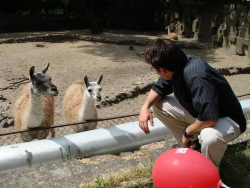 Nasze wszystkie dzieci i wnuki w łódzkim zoo