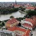Panorama Wrocławia i przyroda #wrocław #żaba #lilia