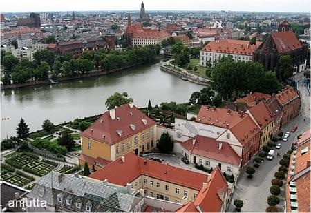 Panorama Wrocławia i przyroda #wrocław #żaba #lilia