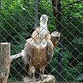 Nasze wszystkie dzieci i wnuki w łódzkim zoo