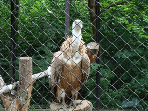 Nasze wszystkie dzieci i wnuki w łódzkim zoo