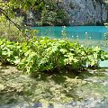 PLITVICE #parki #wodospady #jeziora