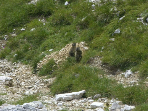 Dolomity 2008 #GóryDolomity