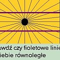 złudzenia