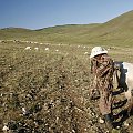 Latyfundysta i jego stada #mongolia