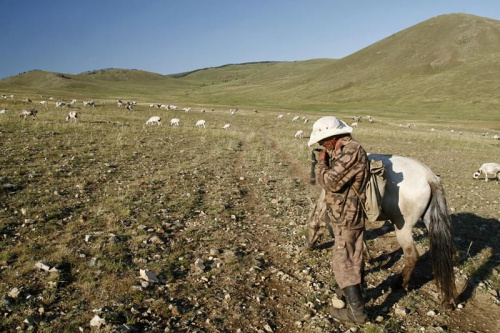 Latyfundysta i jego stada #mongolia
