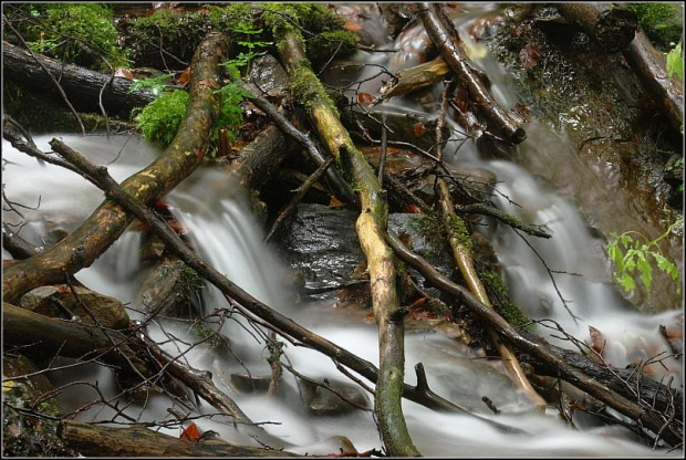 Bieszczady