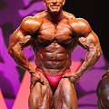 Denis Wolf Mr. Olympia 2008