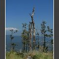 II Zlot BESKIDoczubów => http://beskidtrek.pl/2008/10/03/ii-zlot-beskidoczubow-na-rogaczu