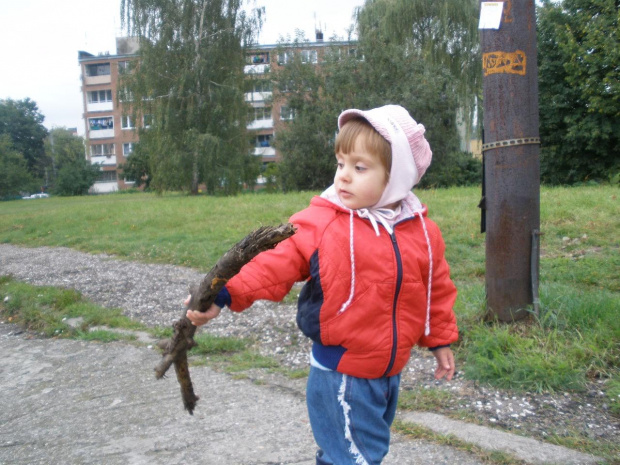 z patykiem na kasztany