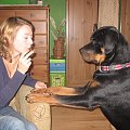 10-12,10.2008 nie wiadomo, kto kogo trenuje :))
