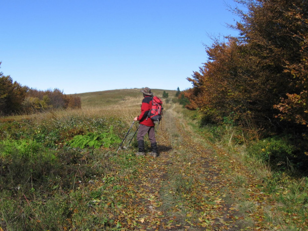 Bukowych liści złotym szlakiem #Góry #Bieszczady