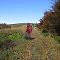 Bukowych liści złotym szlakiem #Góry #Bieszczady