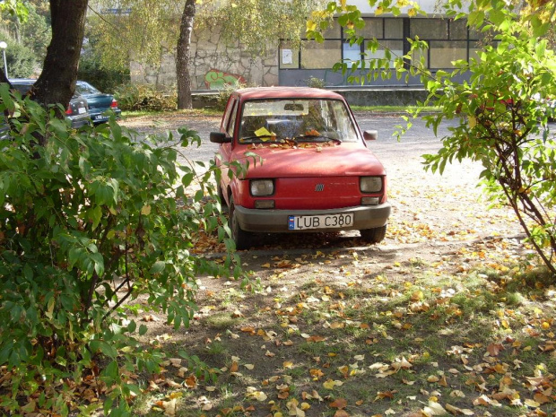 FIAT 126p #Fiat126p #Maluch