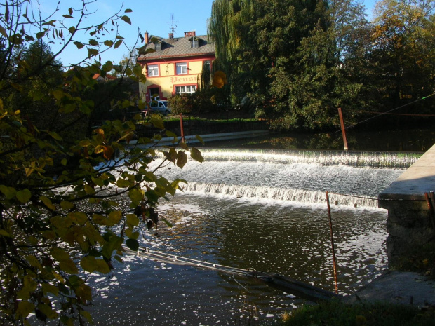 przyroda jesienią