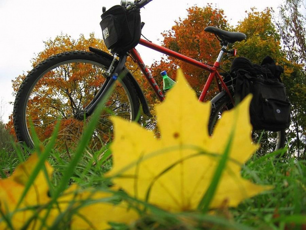 jesienny rower