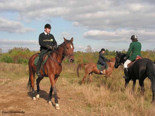 2008.10.18 Hubertus I