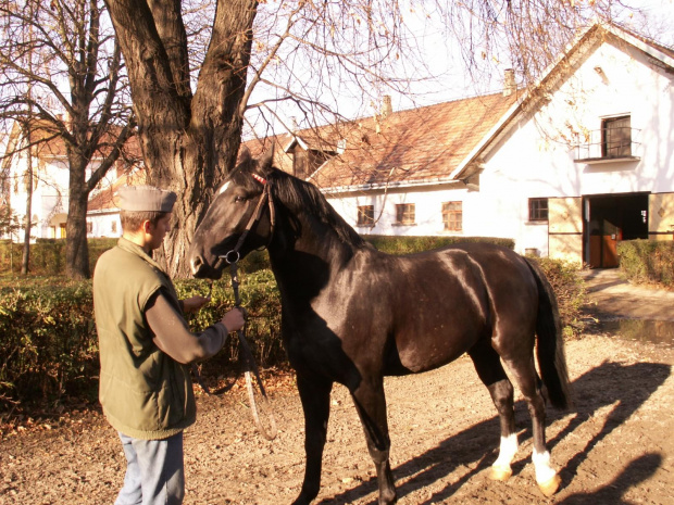 Bieszczady 2006