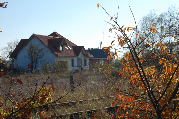 Pątnów Legnicki- 26.10.2008