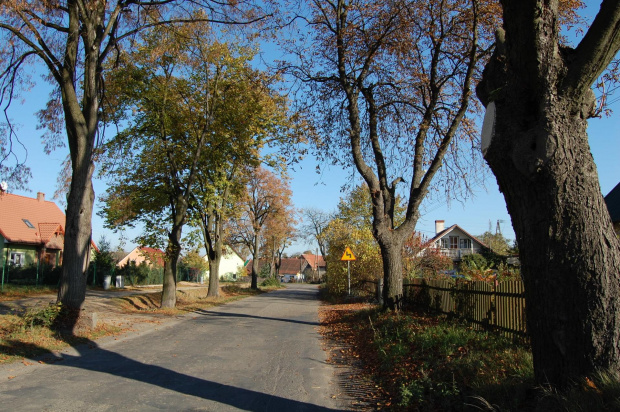 Pątnów Legnicki jesienią- 26.10.2008