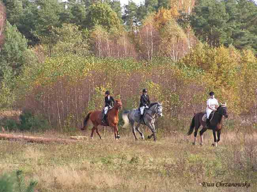 2008.10.18 Hubertus I