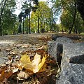 #jesień #park #PraceBudowlane #rodzina #przyroda #Częstochowa #kostka #liść #drzewa