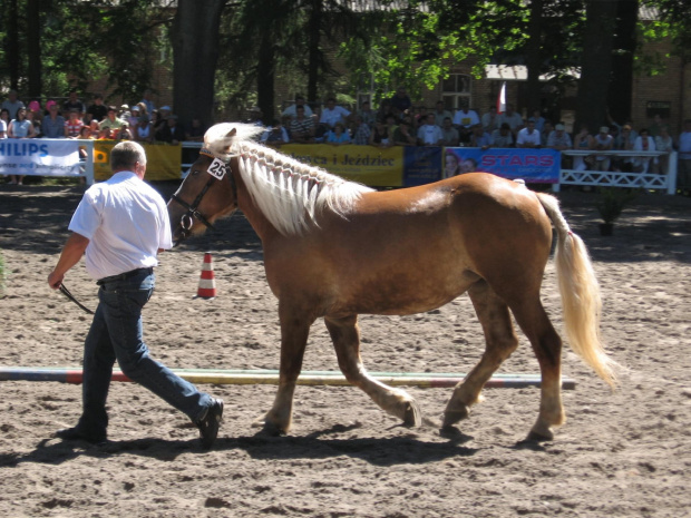 Atencja (Birkut - Arka po Gest), hod. Kondratiuk Jerzy