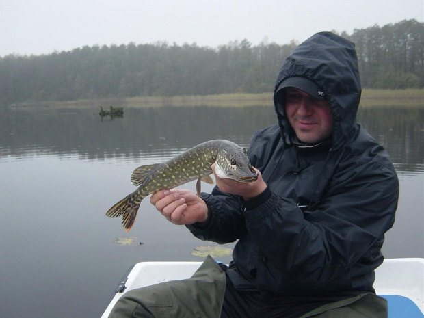 niedzielny esox