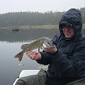 niedzielny esox